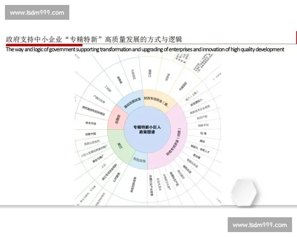 以限制为核心驱动高质量发展与系统创新的新路径探索实践研究框架