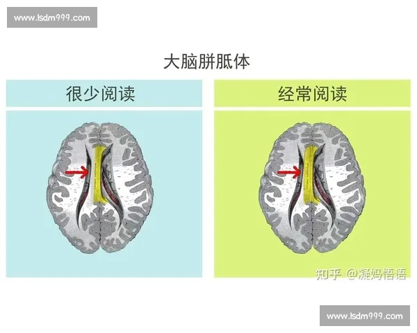 围绕关键得分构建胜负分水岭的比赛决策与执行逻辑体系化路径解析
